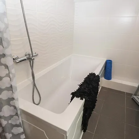 Fir Trees * Windermere