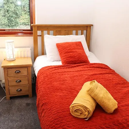 Fir Trees * Windermere