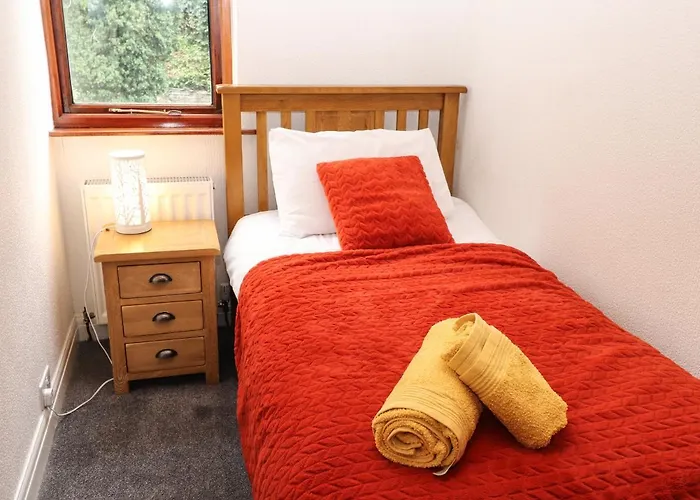 Fir Trees * Уиндермир